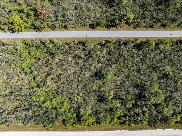 a view of a yard with an outdoor space