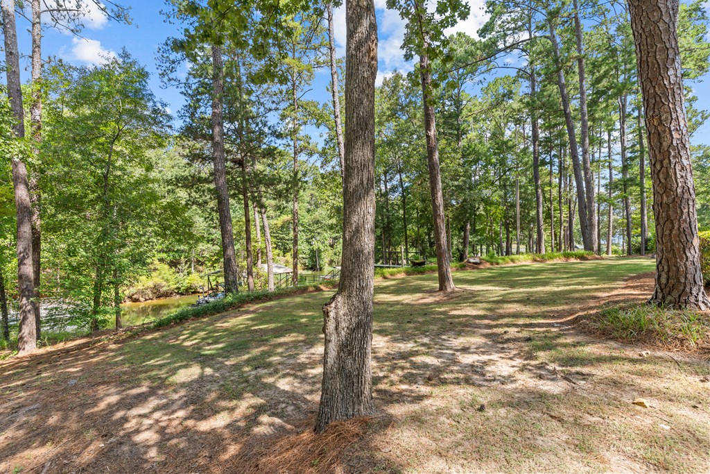 1885 Otho Road Abbeville, AL 36310 - Photo 10 of 47