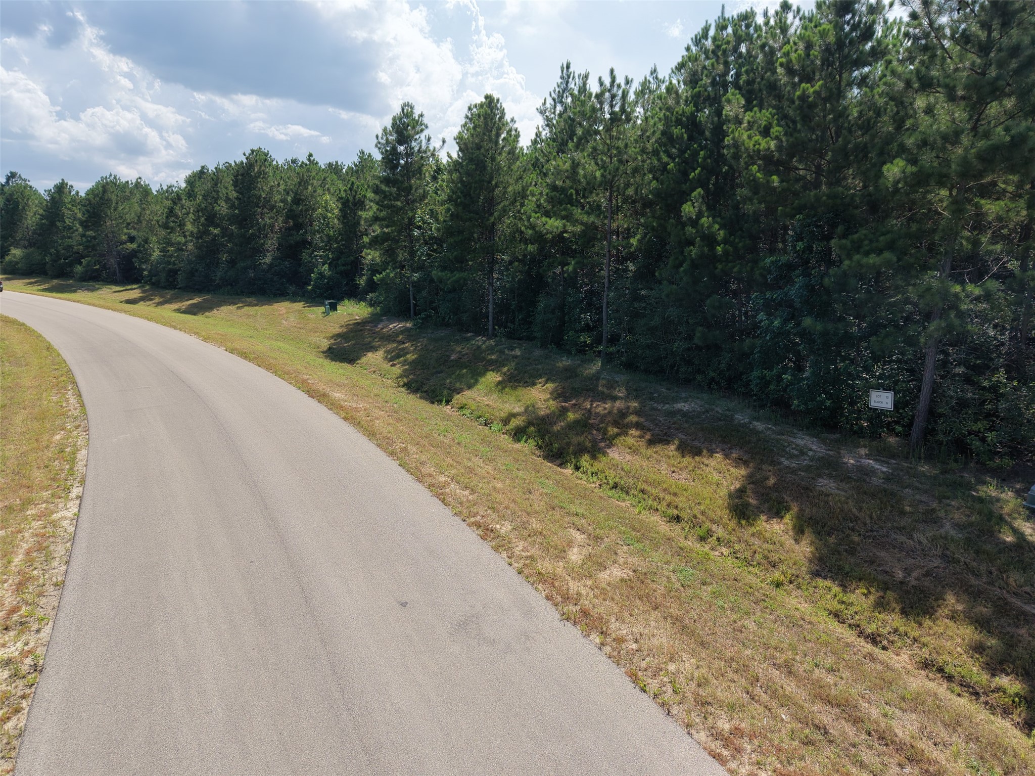 15785 Woodlife Road Willis, TX 77378 - Photo 2 of 12