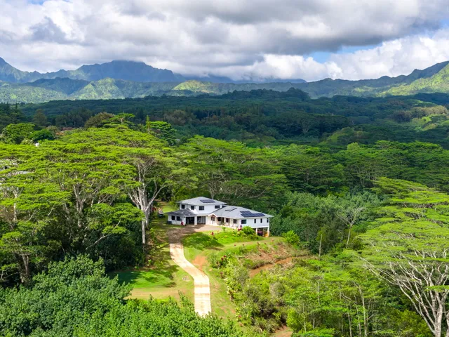 a view of a garden with mountain
