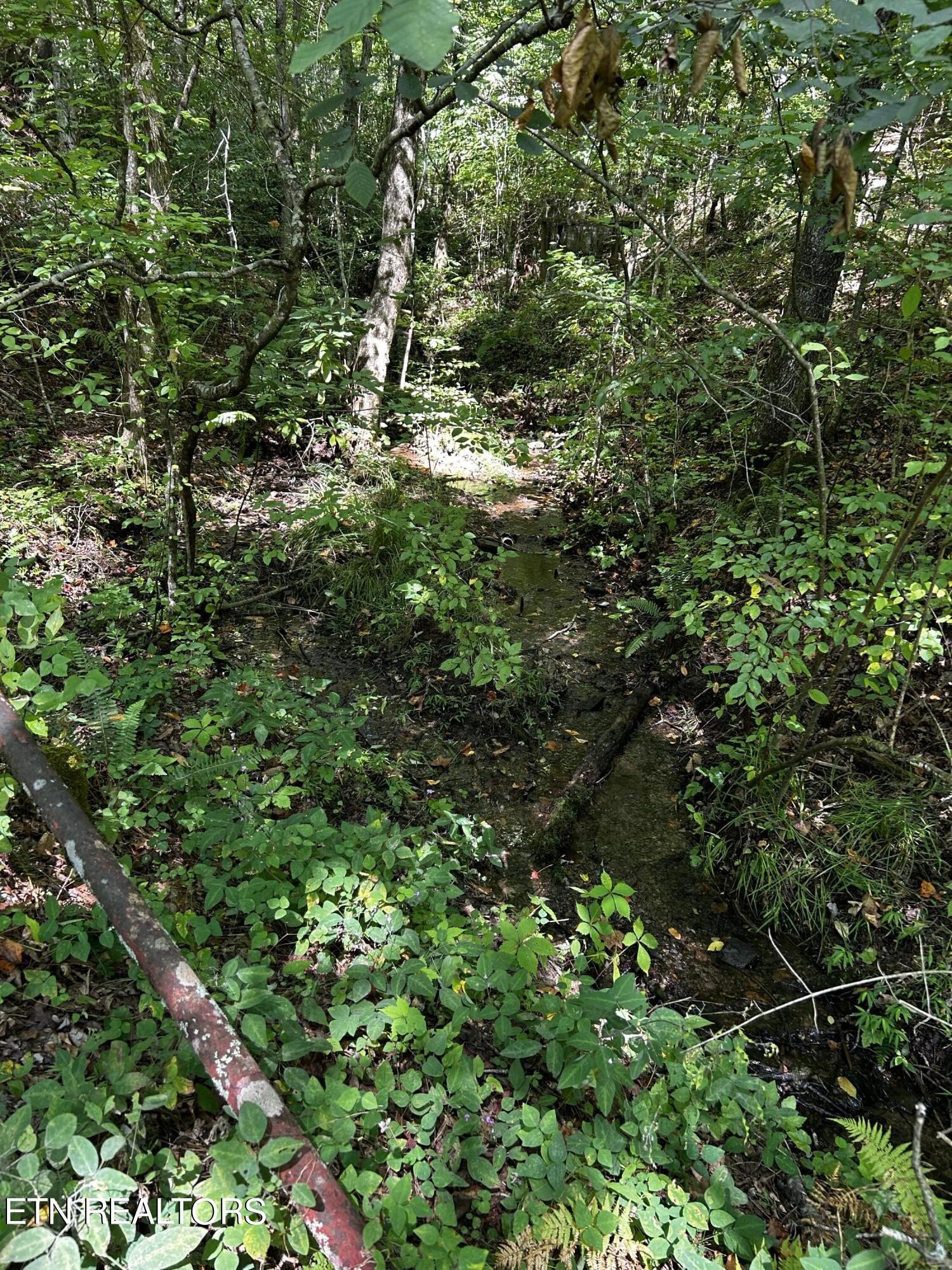 0 Bailey Road Tellico Plains, TN 37385 - Photo 6 of 9