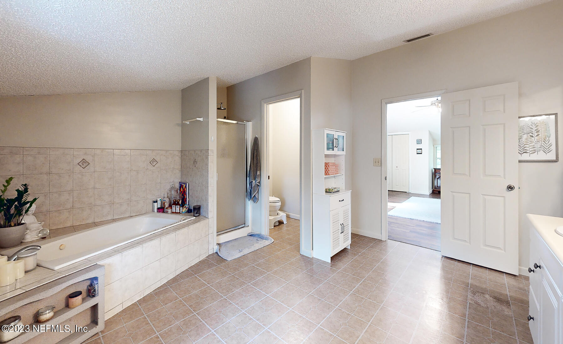 4380 Banks Road Middleburg, FL 32068 - Photo 13 of 51 Bath Primary a