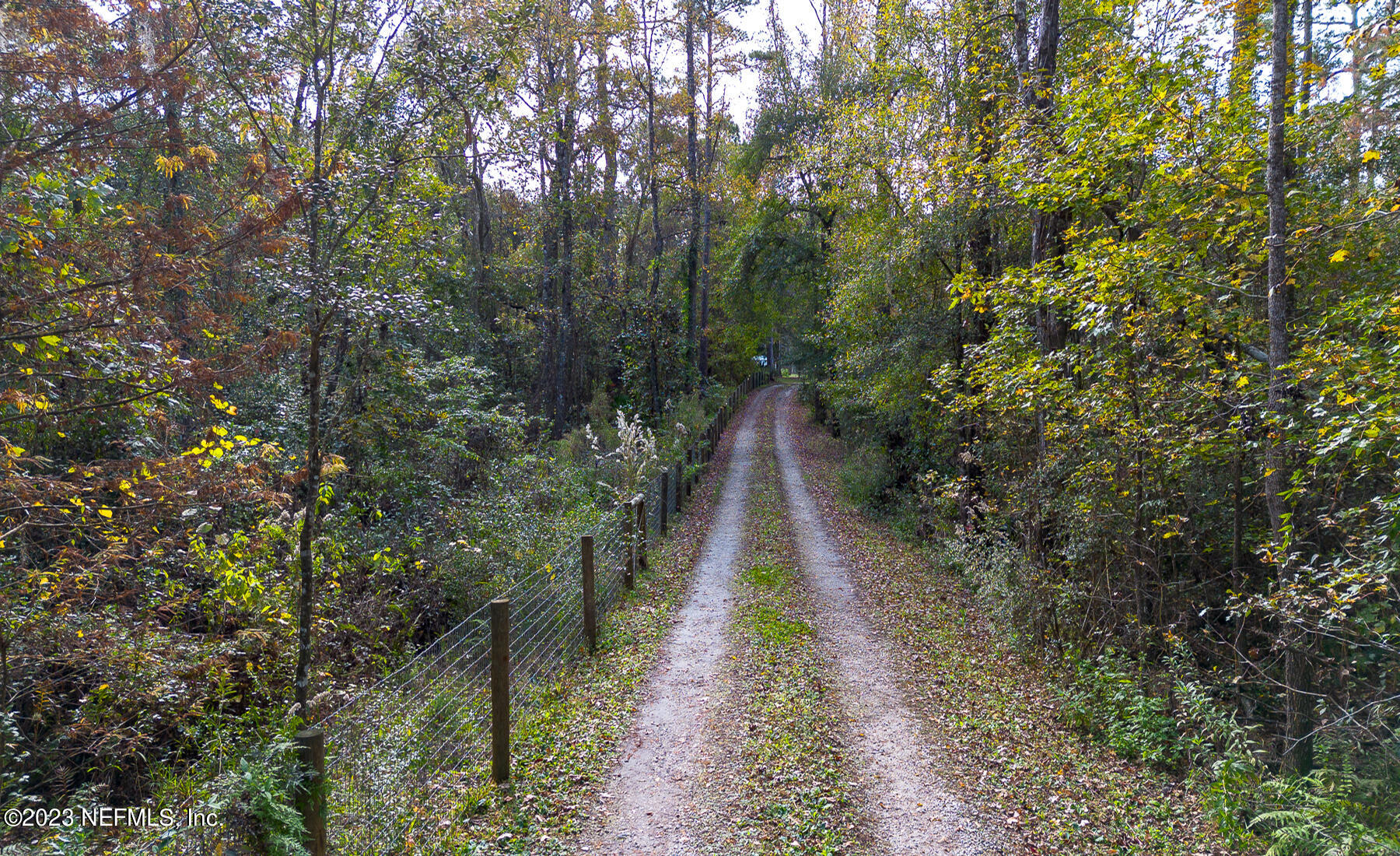 4380 Banks Road Middleburg, FL 32068 - Photo 26 of 51 Ext Driveway