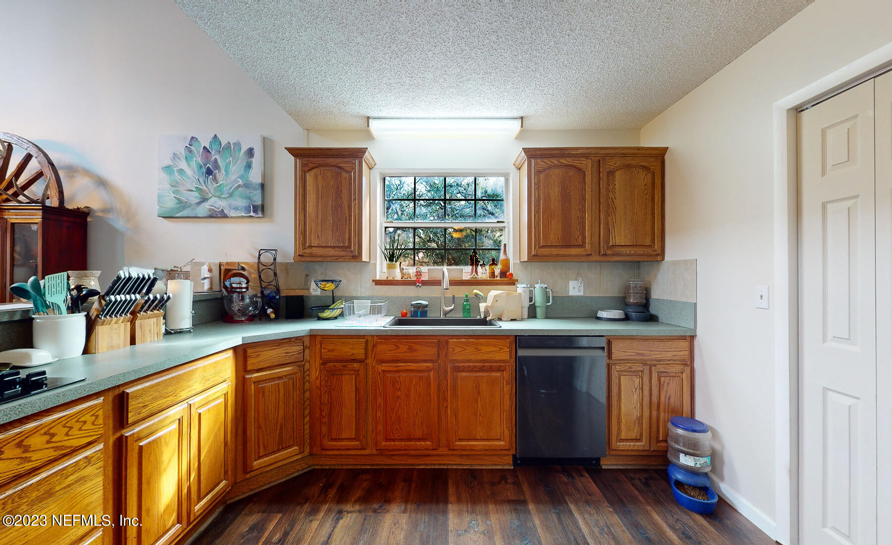 4380 Banks Road Middleburg, FL 32068 - Photo 37 of 51 Kitchen c
