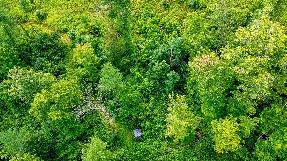 Ogles Ridge Road Dexter City, OH 45727 - Photo 29 of 48