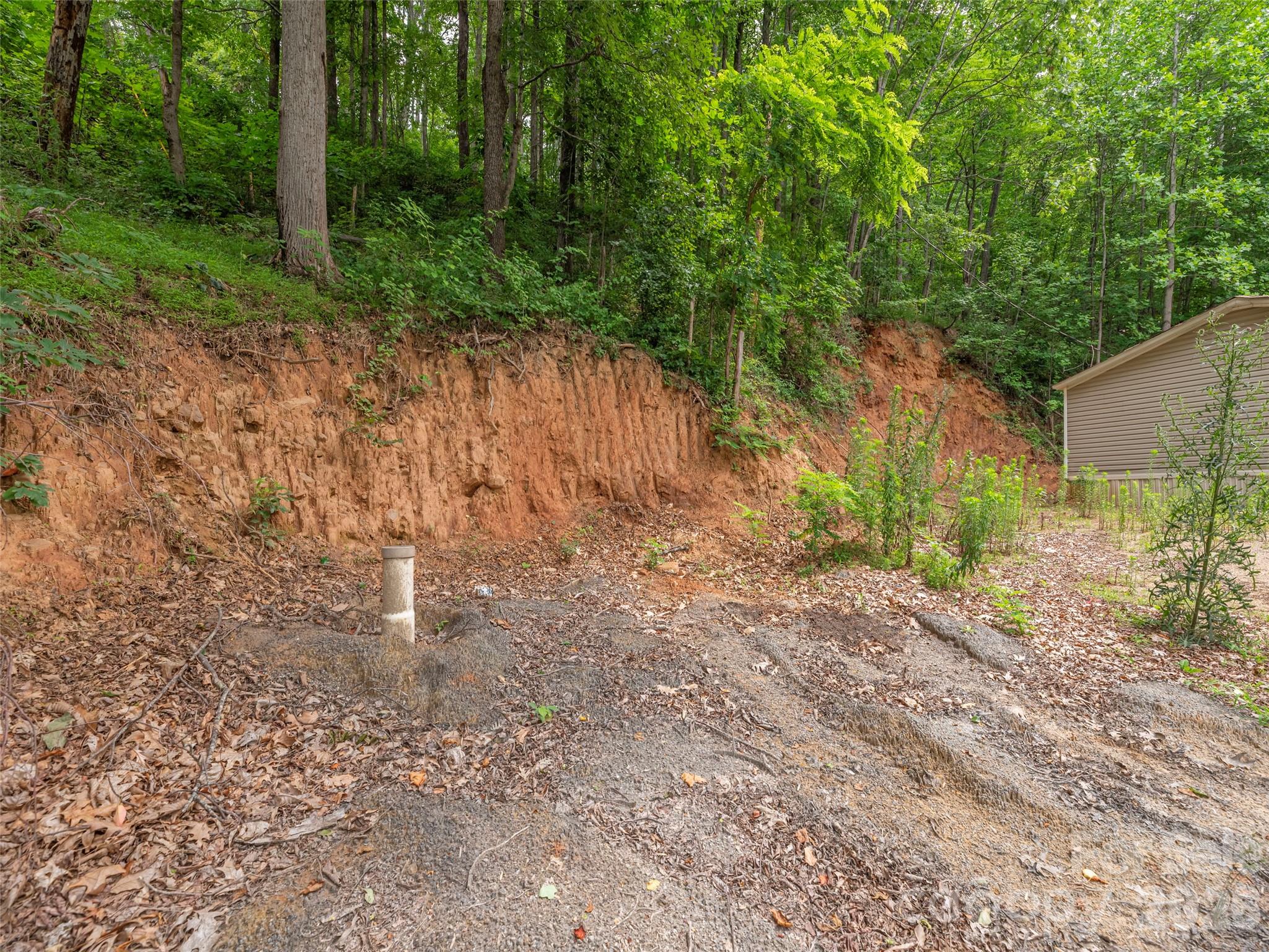 87 Holly Ridge Road Candler, NC 28715 - Photo 17 of 18