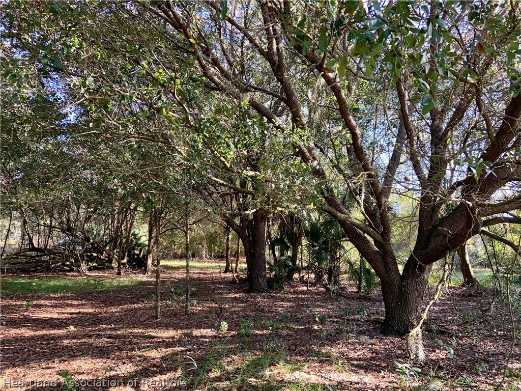 5179 Deer Road Zolfo Springs, FL 33890 - Photo 1 of 18 Gallery Image 1