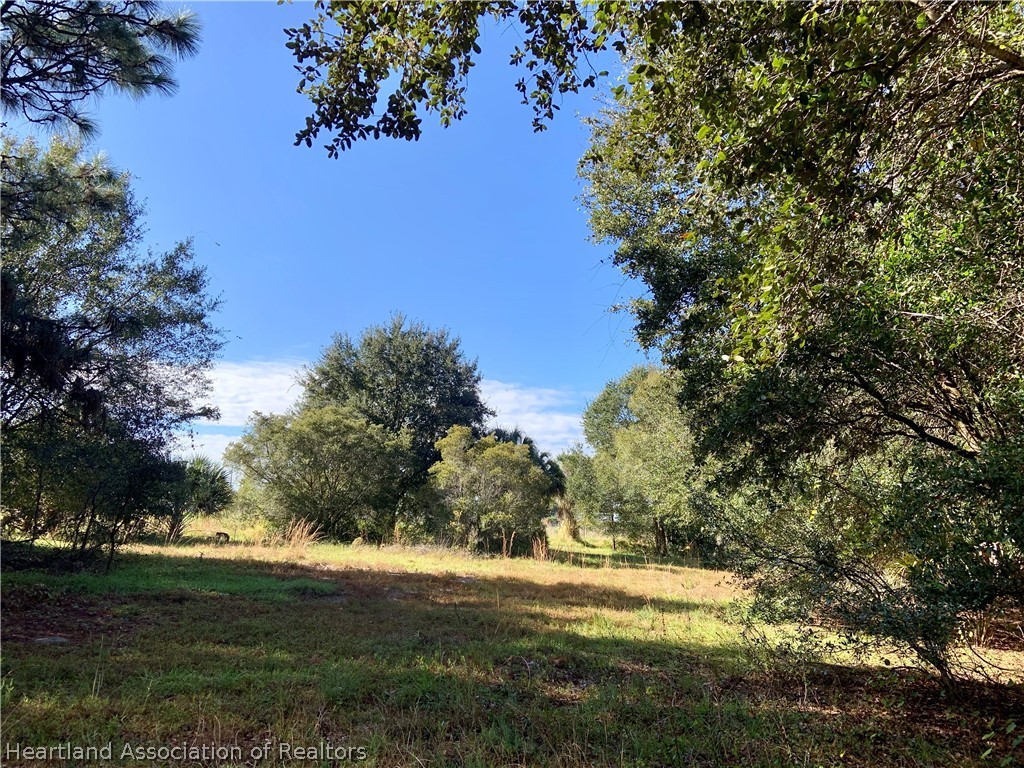 5179 Deer Road Zolfo Springs, FL 33890 - Photo 12 of 18 Gallery Image 12
