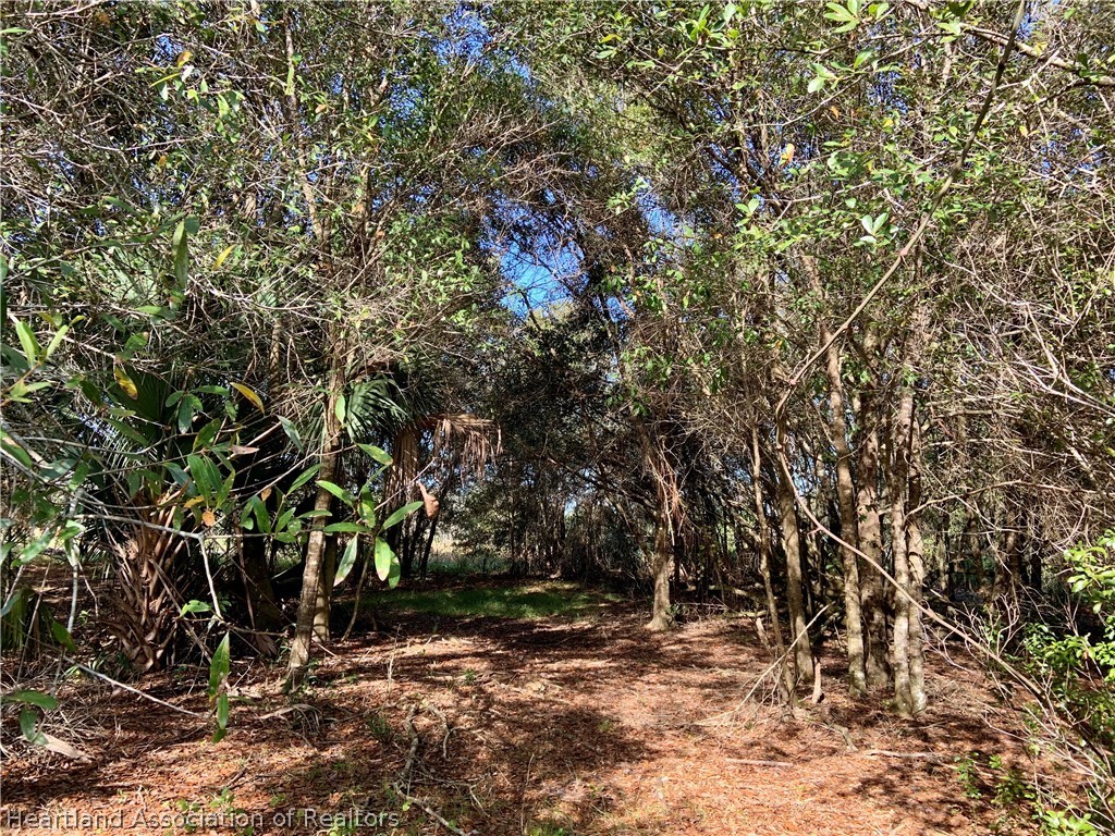 5179 Deer Road Zolfo Springs, FL 33890 - Photo 13 of 18 Gallery Image 13