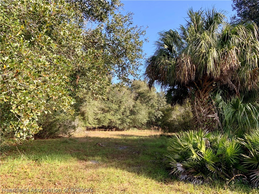 5179 Deer Road Zolfo Springs, FL 33890 - Photo 14 of 18 Gallery Image 14