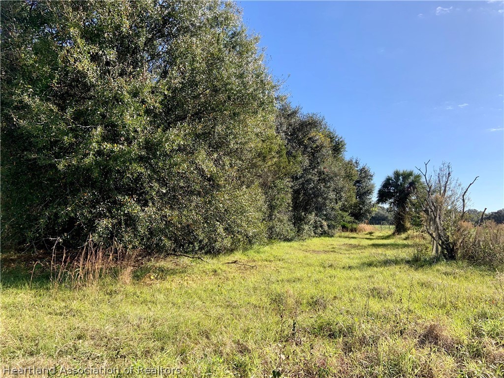 5179 Deer Road Zolfo Springs, FL 33890 - Photo 2 of 18 Gallery Image 2