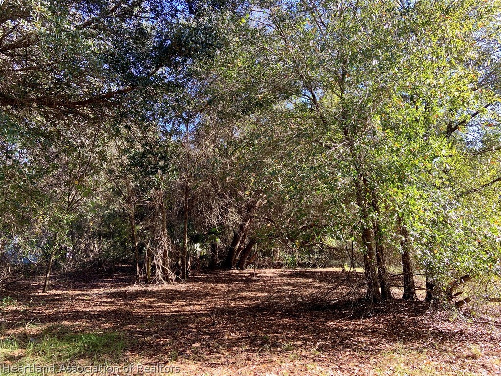 5179 Deer Road Zolfo Springs, FL 33890 - Photo 5 of 18 Gallery Image 5