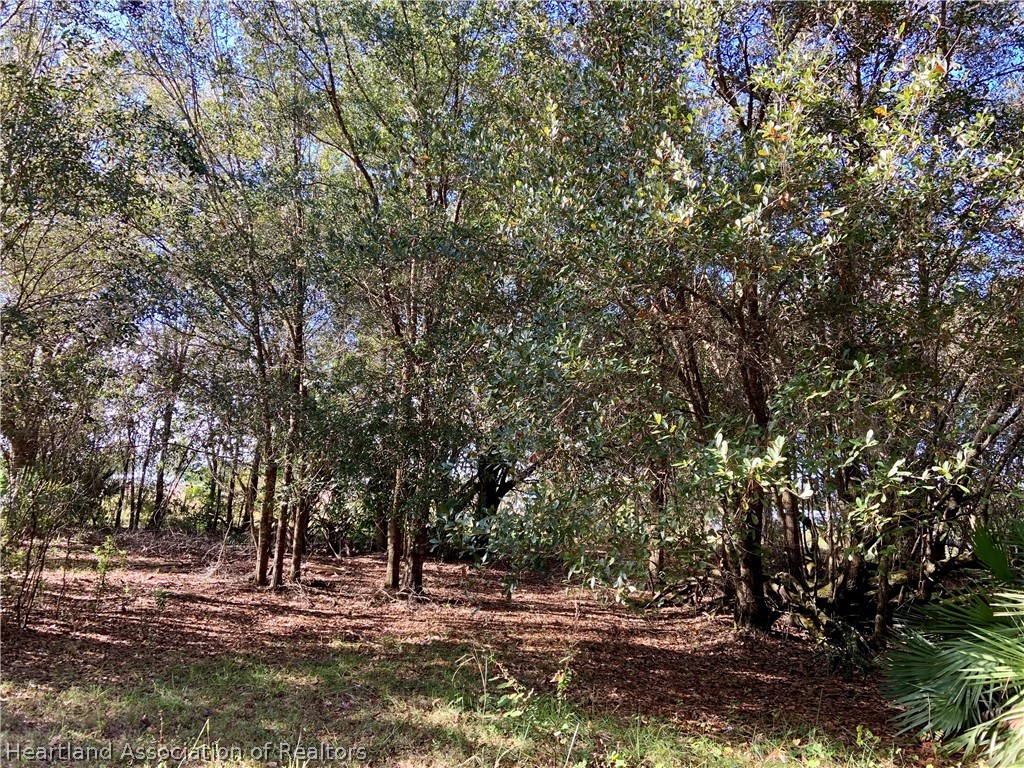 5179 Deer Road Zolfo Springs, FL 33890 - Photo 6 of 18 Gallery Image 6