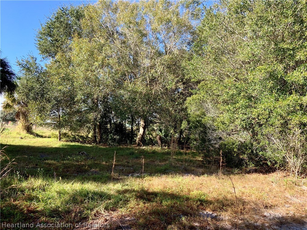 5179 Deer Road Zolfo Springs, FL 33890 - Photo 7 of 18 Gallery Image 7