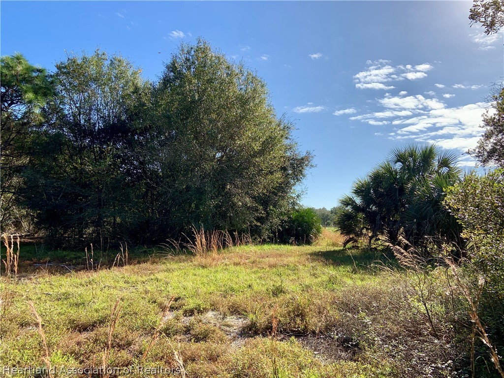 5179 Deer Road Zolfo Springs, FL 33890 - Photo 8 of 18 Gallery Image 8