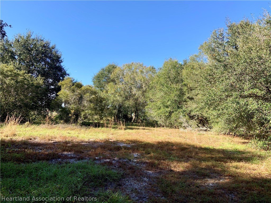 5179 Deer Road Zolfo Springs, FL 33890 - Photo 10 of 18 Gallery Image 10