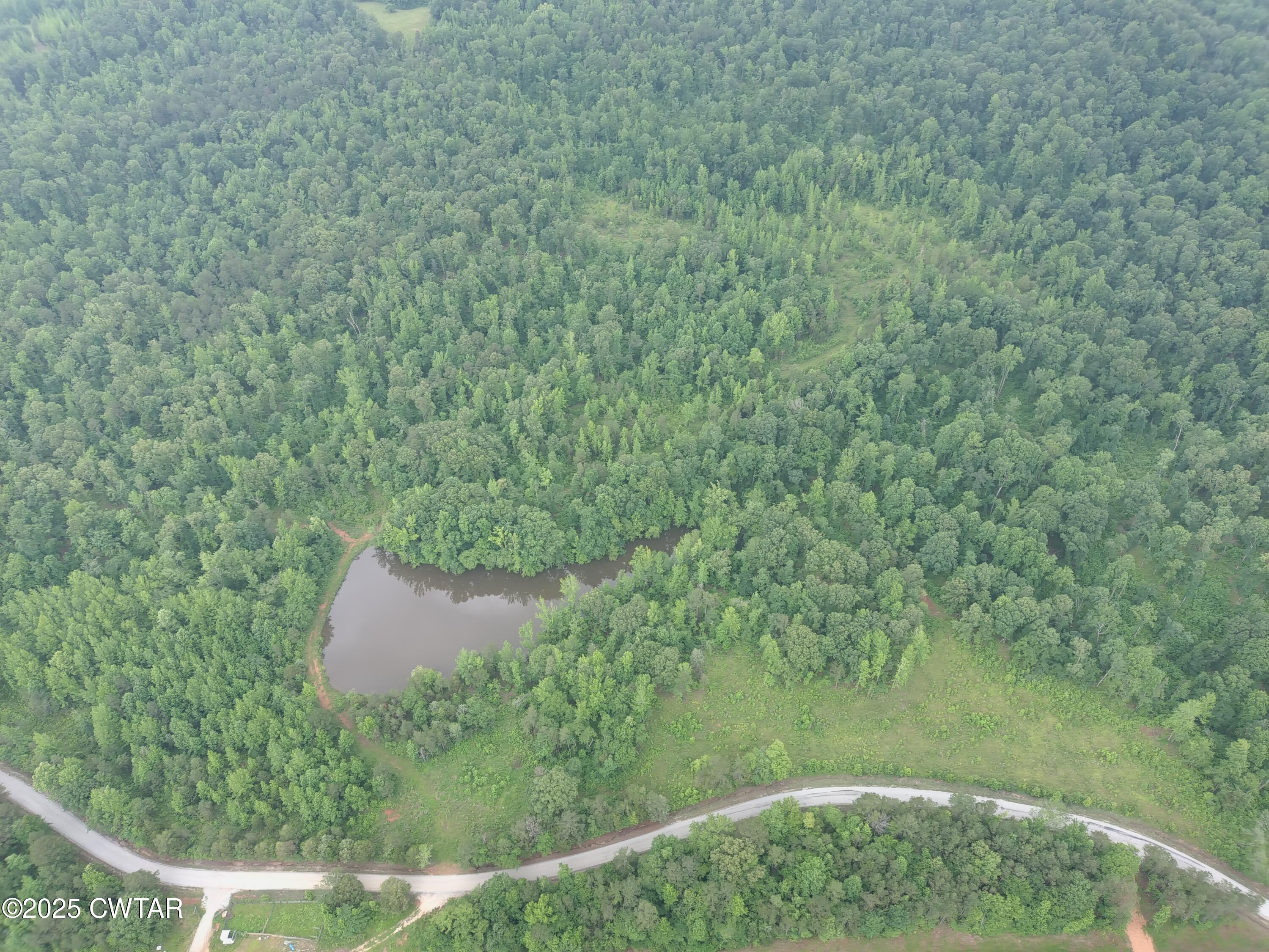 a view of a yard with a sink and plants