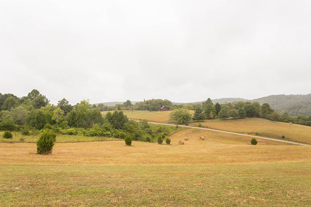 221 River Ridge Drive Max Meadows, VA 24360 - Photo 28 of 42 DGA_4009
