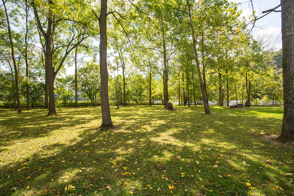 221 River Ridge Drive Max Meadows, VA 24360 - Photo 33 of 42 DGA_0516