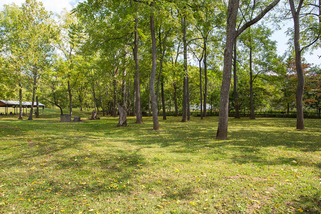 221 River Ridge Drive Max Meadows, VA 24360 - Photo 41 of 42 DGA_0531