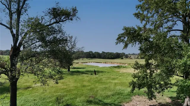 a view of a lush green forest with lawn chairs under an umbrella
