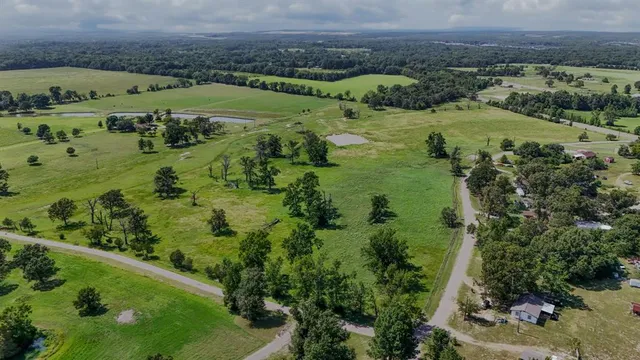 an aerial view of huge green field with lots of green plants in it