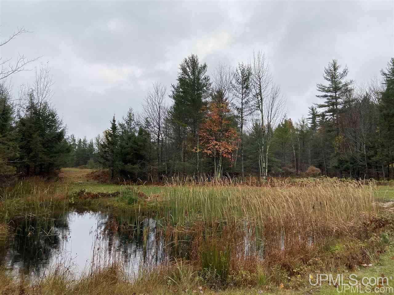 540 N East Gulliver Lake Road Gulliver, MI 49840 - Photo 39 of 41