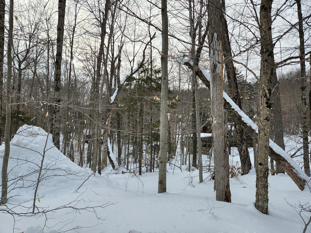 0 Indian Road Old Forge, NY 13420 - Photo 1 of 5