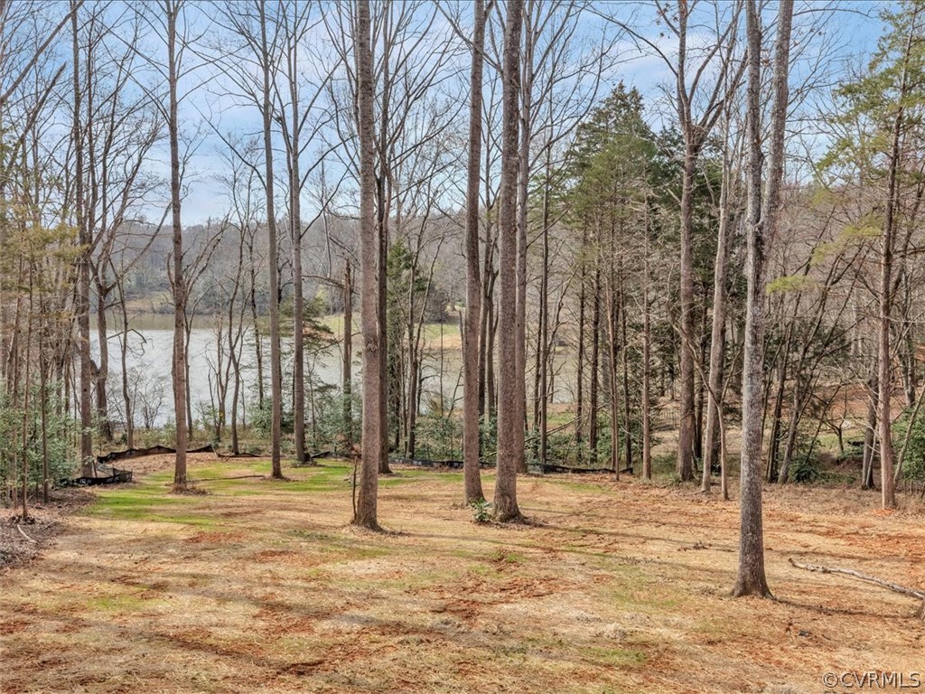 2524 Mill Road Powhatan, VA 23139 - Photo 3 of 44 Gallery Image 3