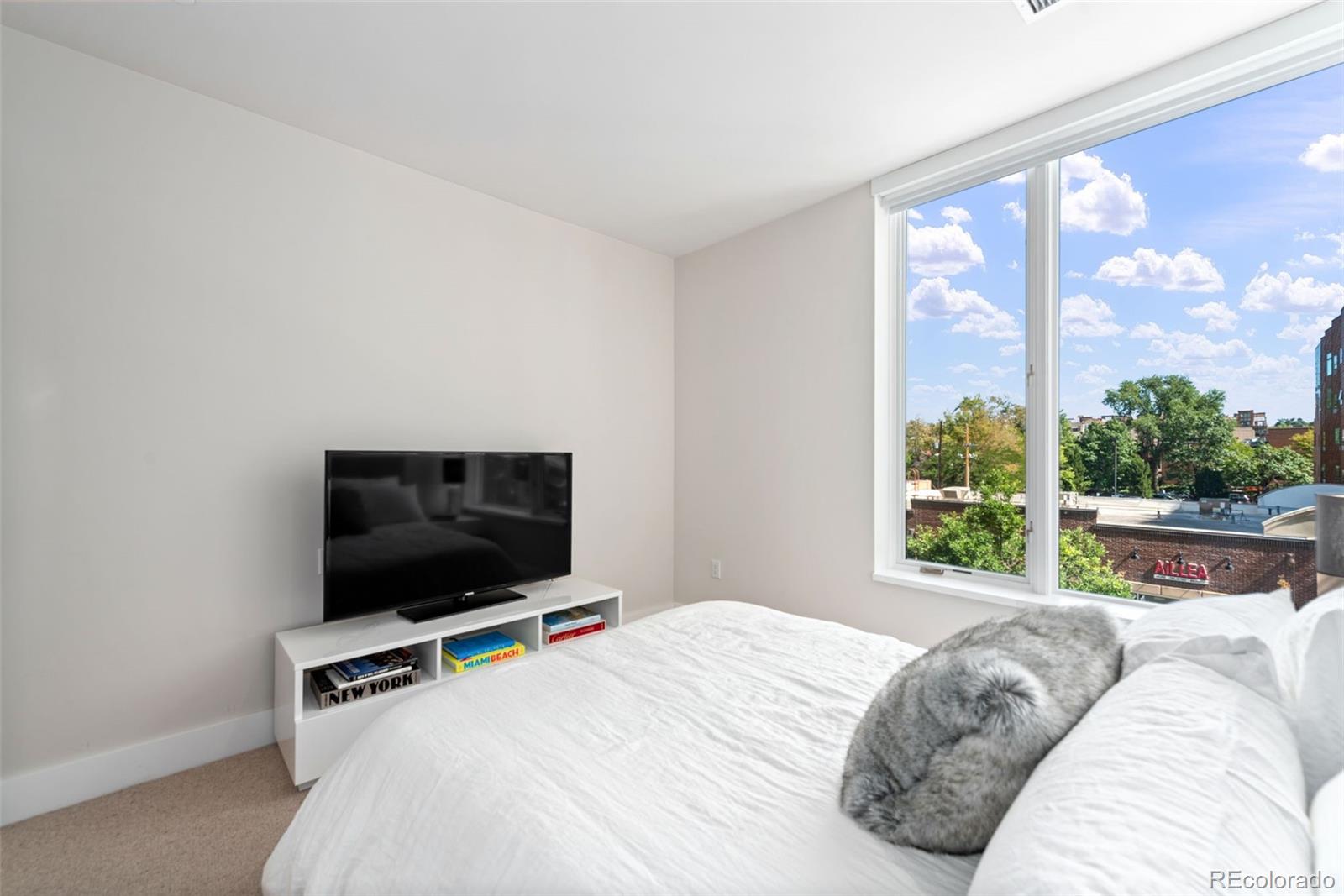 155 Steele Street, Unit 313 Denver, CO 80206 - Photo 23 of 40