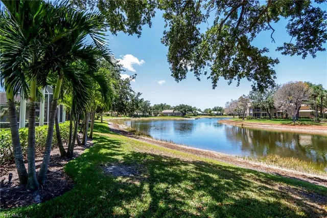 a view of a large body of water surrounded by trees