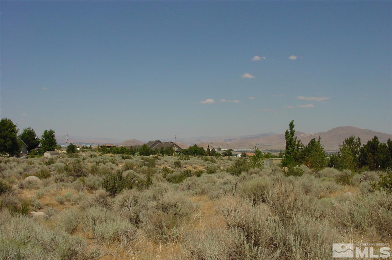 0 Raider Run Road, Unit NV Reno, NV 89511 - Photo 3 of 10 a view of a field with trees in the background