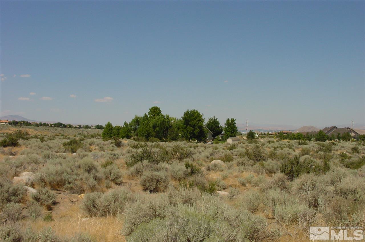 0 Raider Run Road, Unit NV Reno, NV 89511 - Photo 4 of 10 a view of a bunch of trees in a field