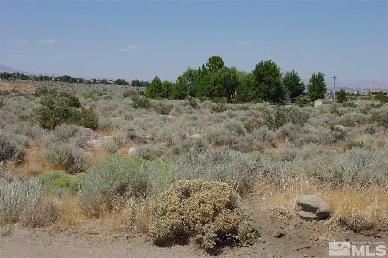 0 Raider Run Road, Unit NV Reno, NV 89511 - Photo 7 of 10 a view of a field with trees in background
