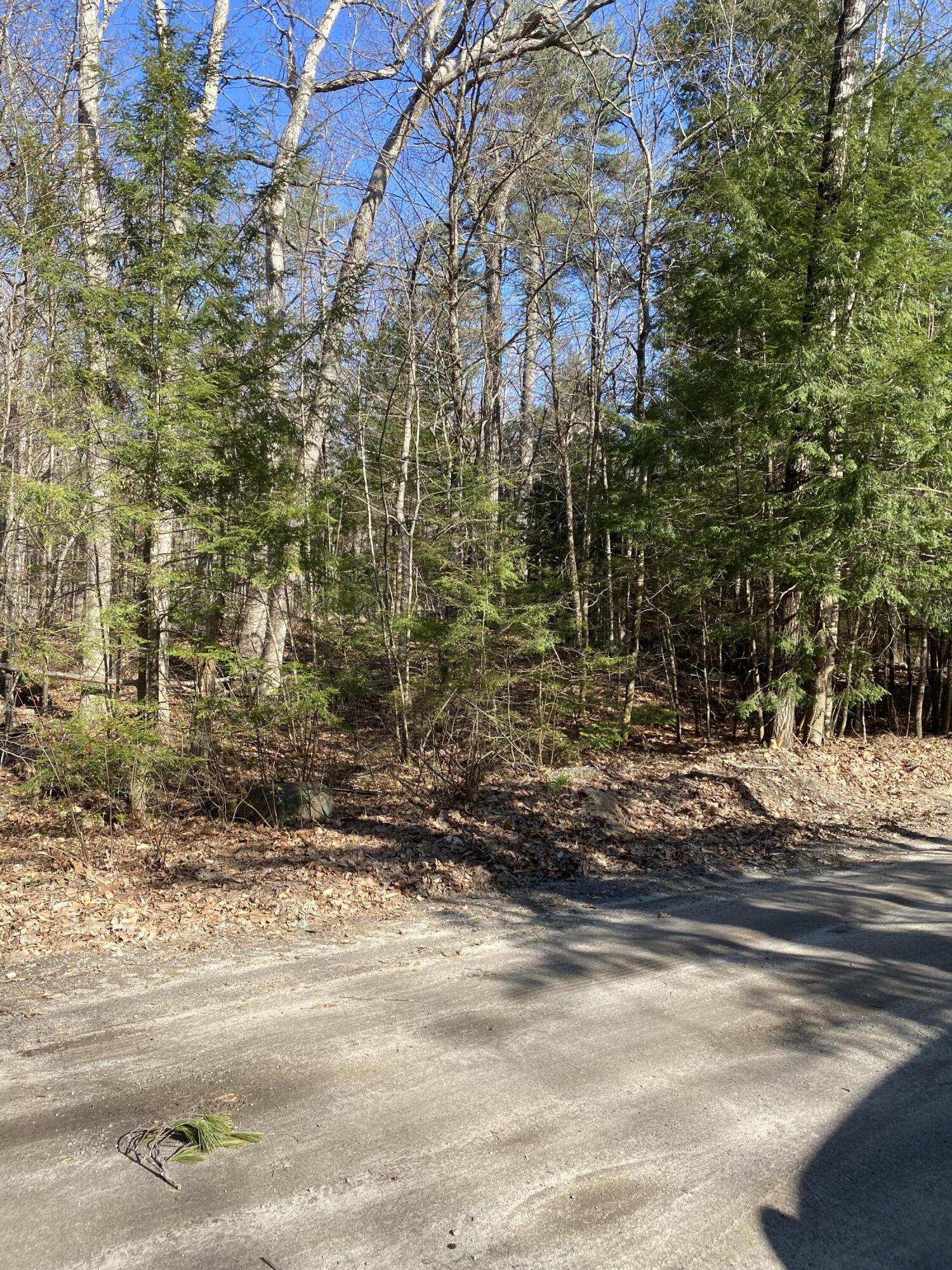 Lot 96 Beach Road Naples, ME 04055 - Photo 13 of 14 68AD7B7A-980D-4DA2-BAEA-338242D2F9B8