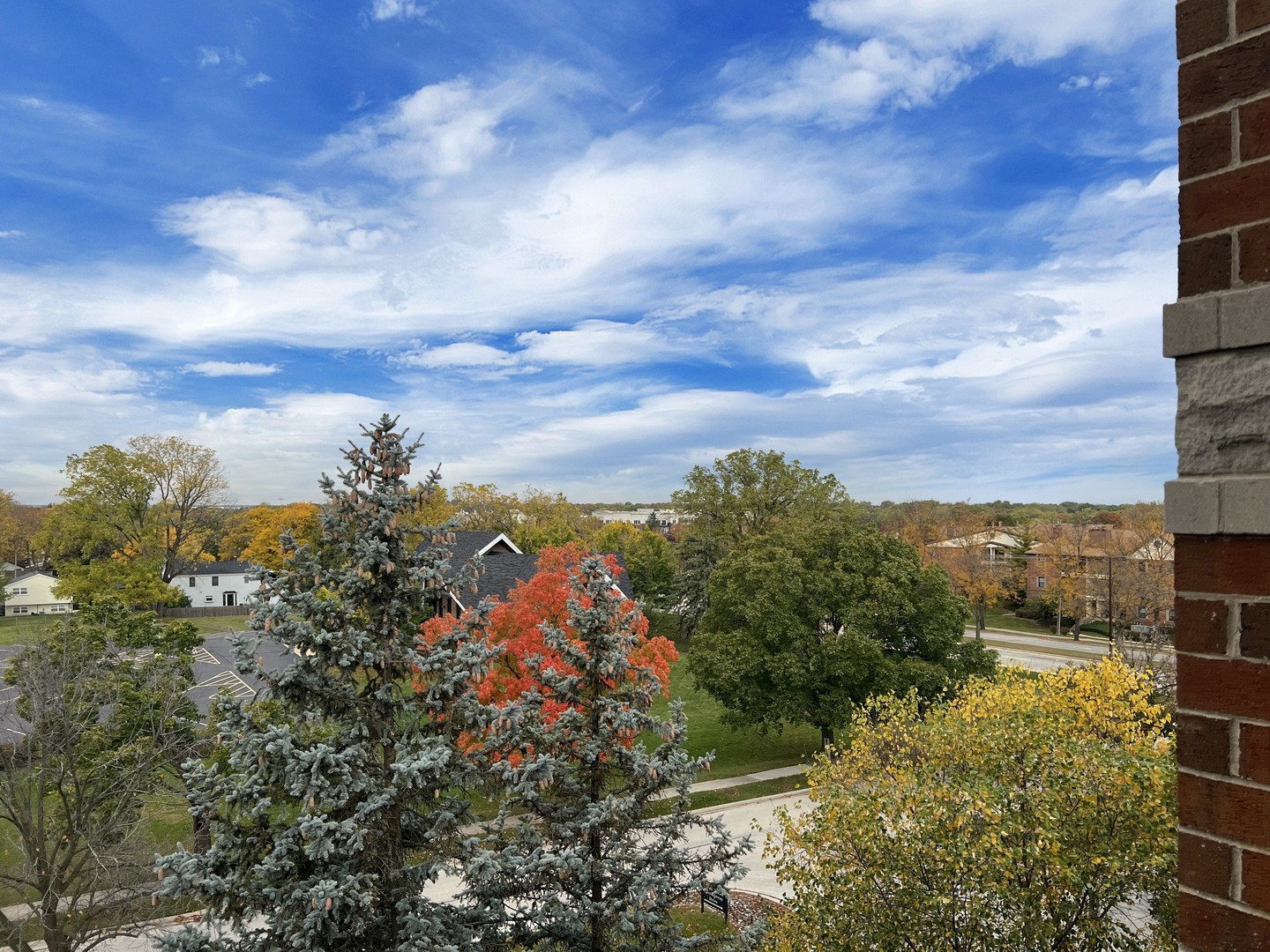 3451 North Carriageway Drive, Unit 503 Arlington Heights, IL 60004 - Photo 18 of 22 a view of a lake