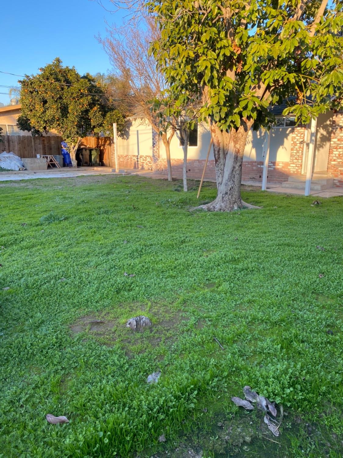 41517 David Road Orosi, CA 93647 - Photo 23 of 26 Gallery Image 23