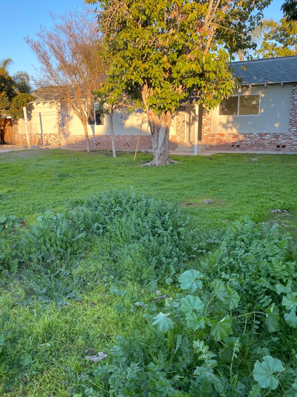 41517 David Road Orosi, CA 93647 - Photo 26 of 26 Gallery Image 26