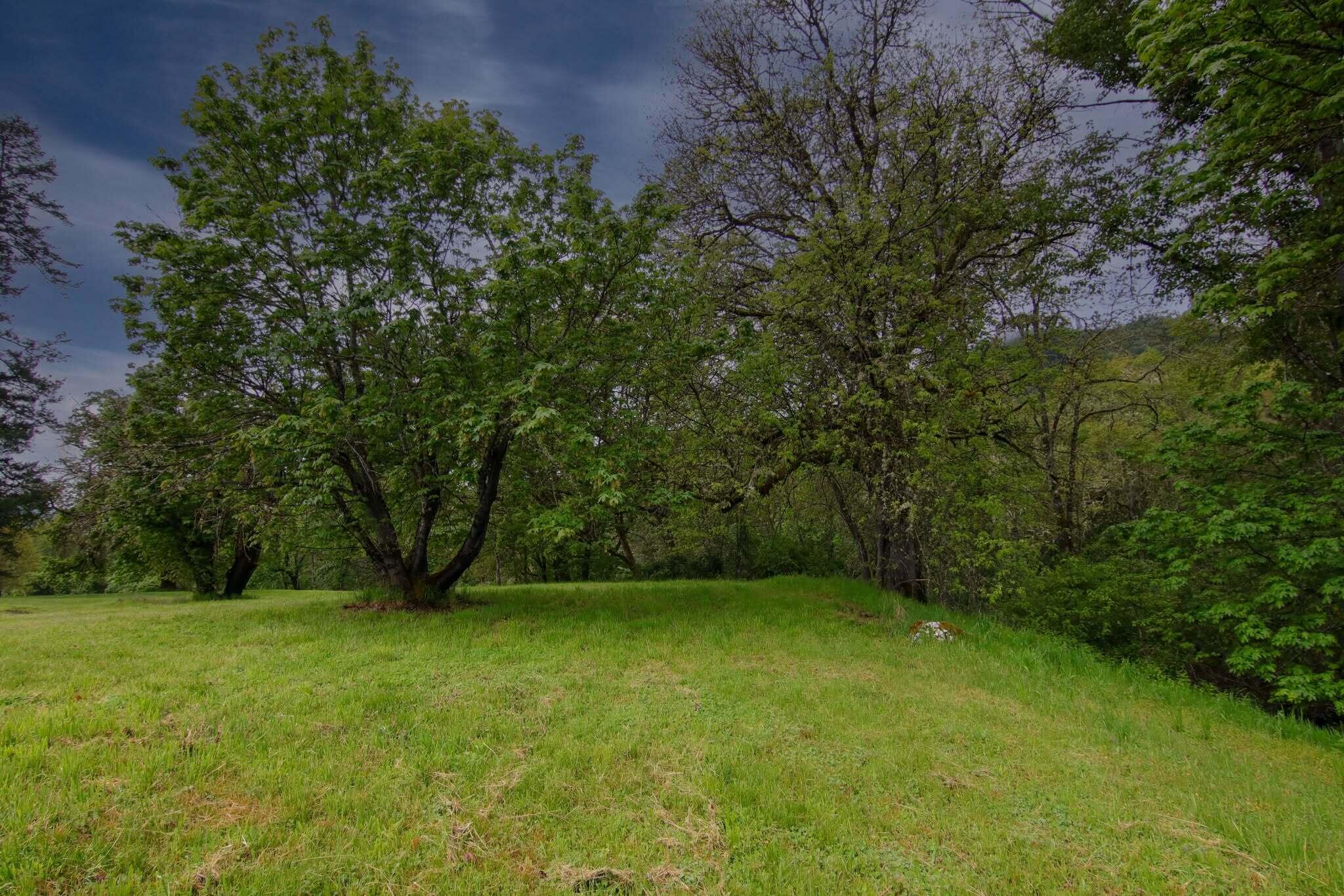 2661 Wards Creek Road Rogue River, OR 97537 - Photo 15 of 15 a view of outdoor space and yard