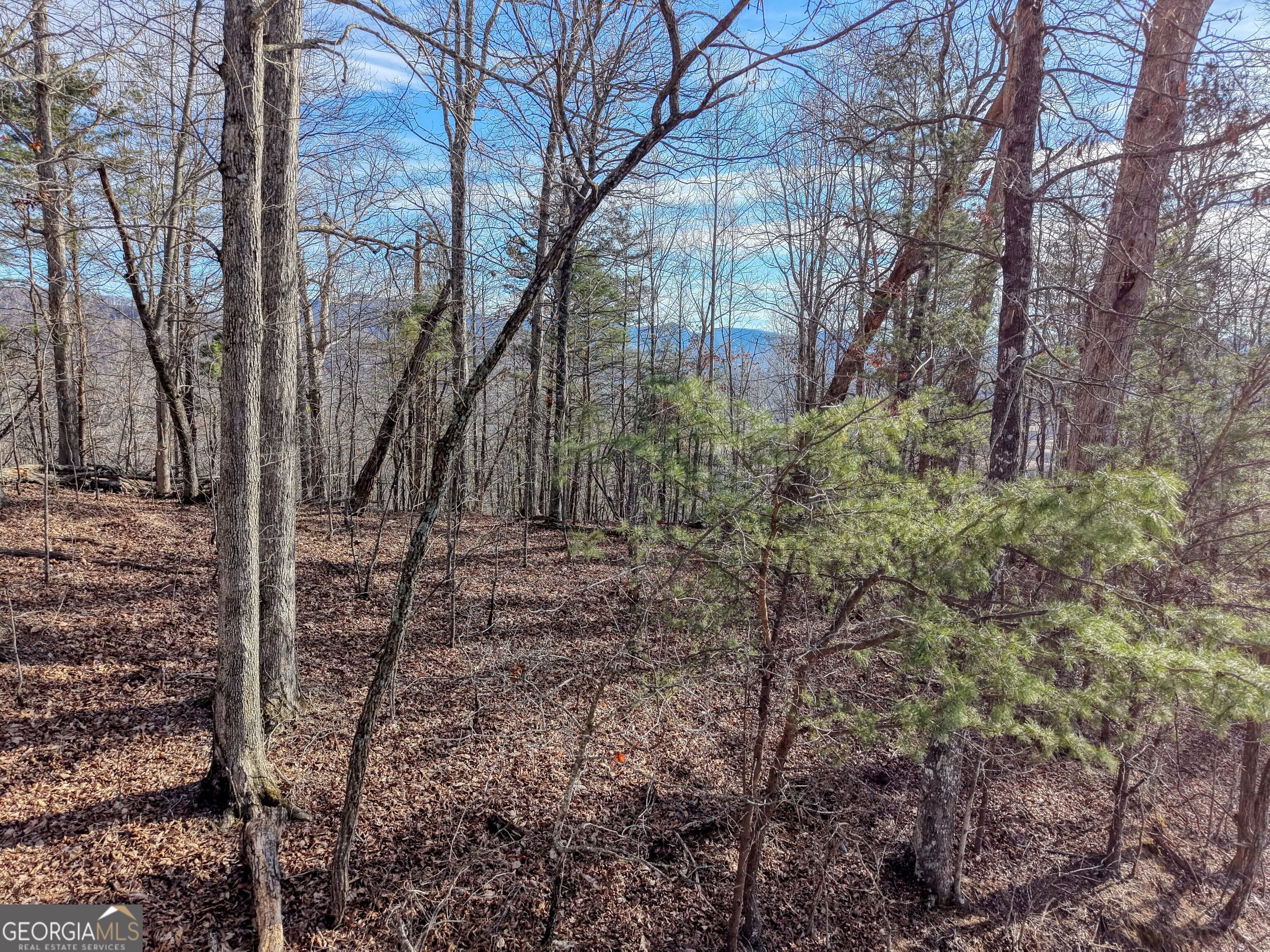 Lot 5 Harris Ridge Young Harris, GA 30582 - Photo 3 of 15