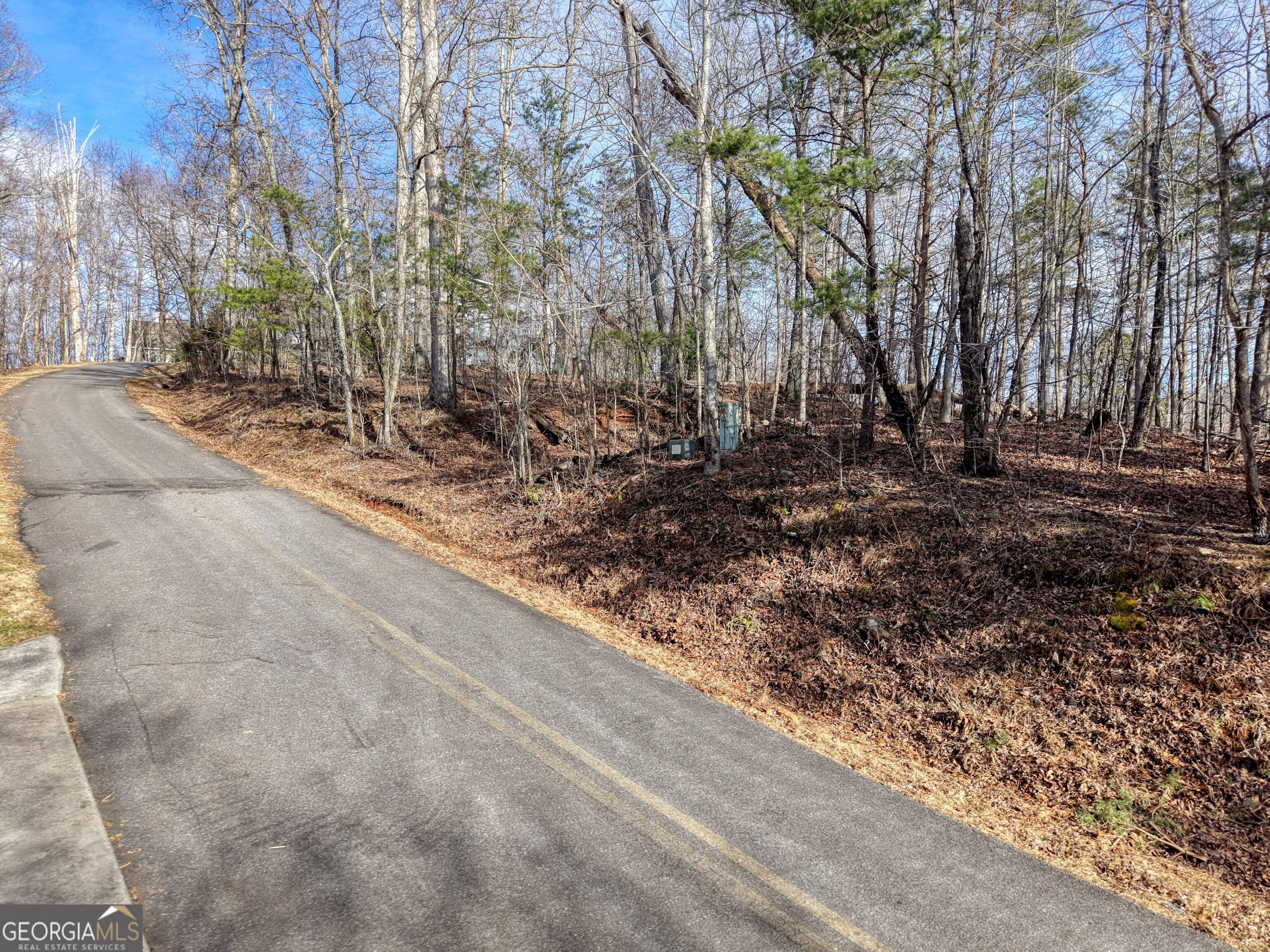 Lot 5 Harris Ridge Young Harris, GA 30582 - Photo 4 of 15 a view of a yard with trees