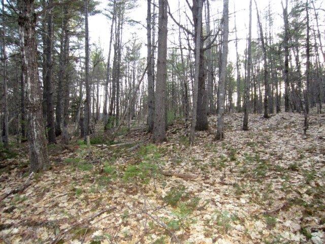 512 B Carding Machine Road Bowdoinham, ME 04008 - Photo 3 of 11 Photo
