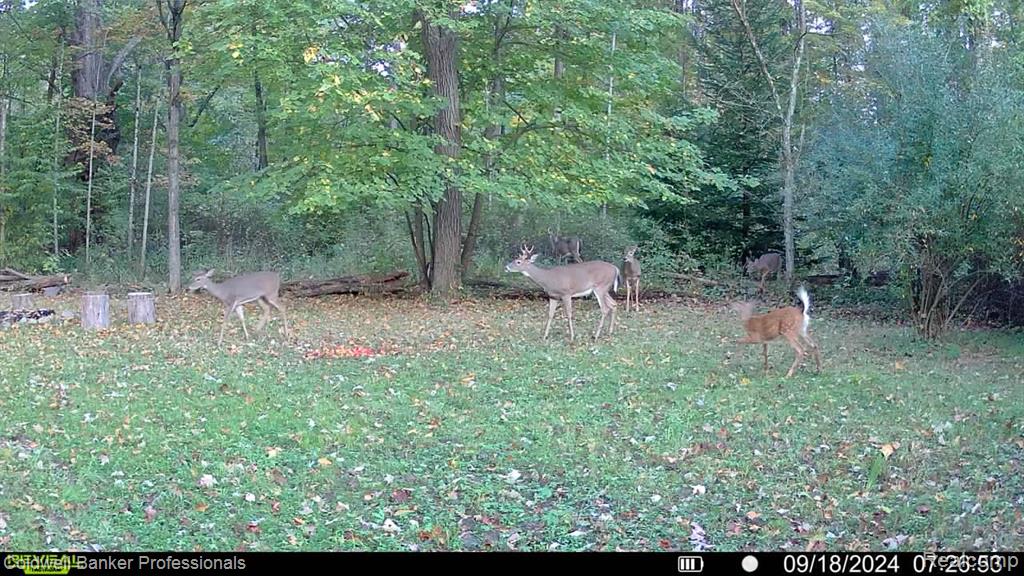 Vl Rattle Run Road St. Clair, MI 48079 - Photo 30 of 45 Gallery Image 30