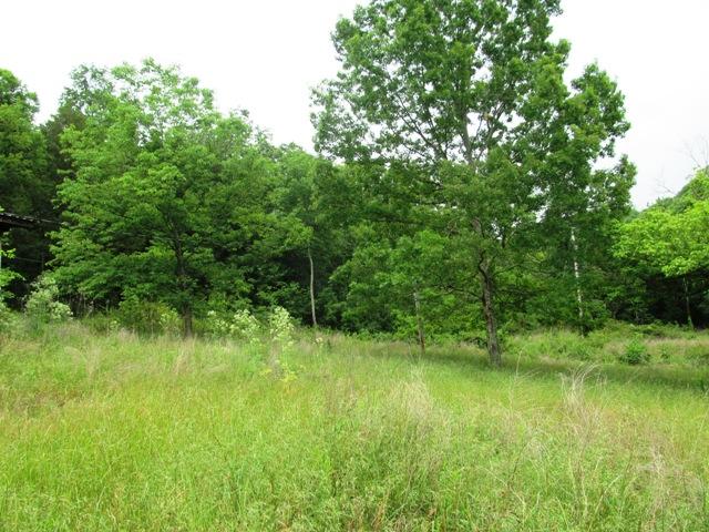 378 Green Pastures Road Alexandria, TN 37012 - Photo 5 of 9