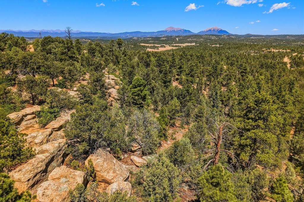 24900 County Road Boncarbo, CO 81024 - Photo 46 of 52