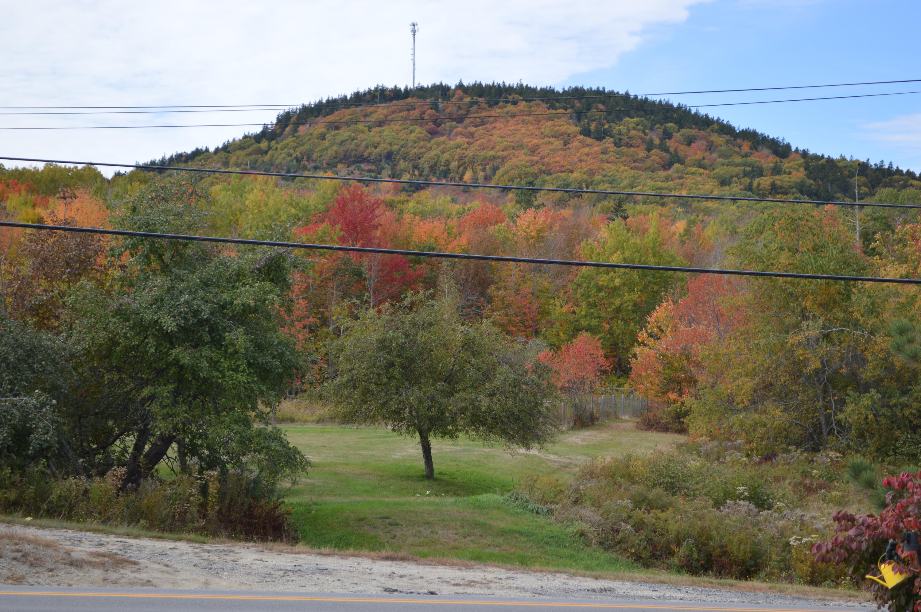 189 Ellsworth Road Blue Hill, ME 04614 - Photo 2 of 13 View from front windows