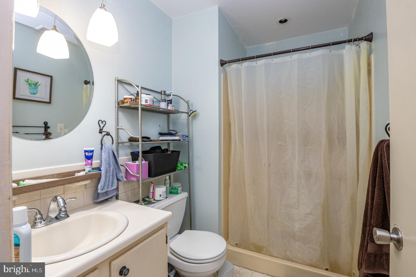 16B Fairway Road Reading, PA 19607 - Photo 12 of 14 a bathroom with a sink a toilet a mirror and shower curtain