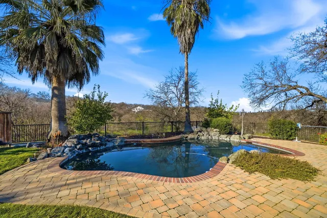 a view of a park with large trees