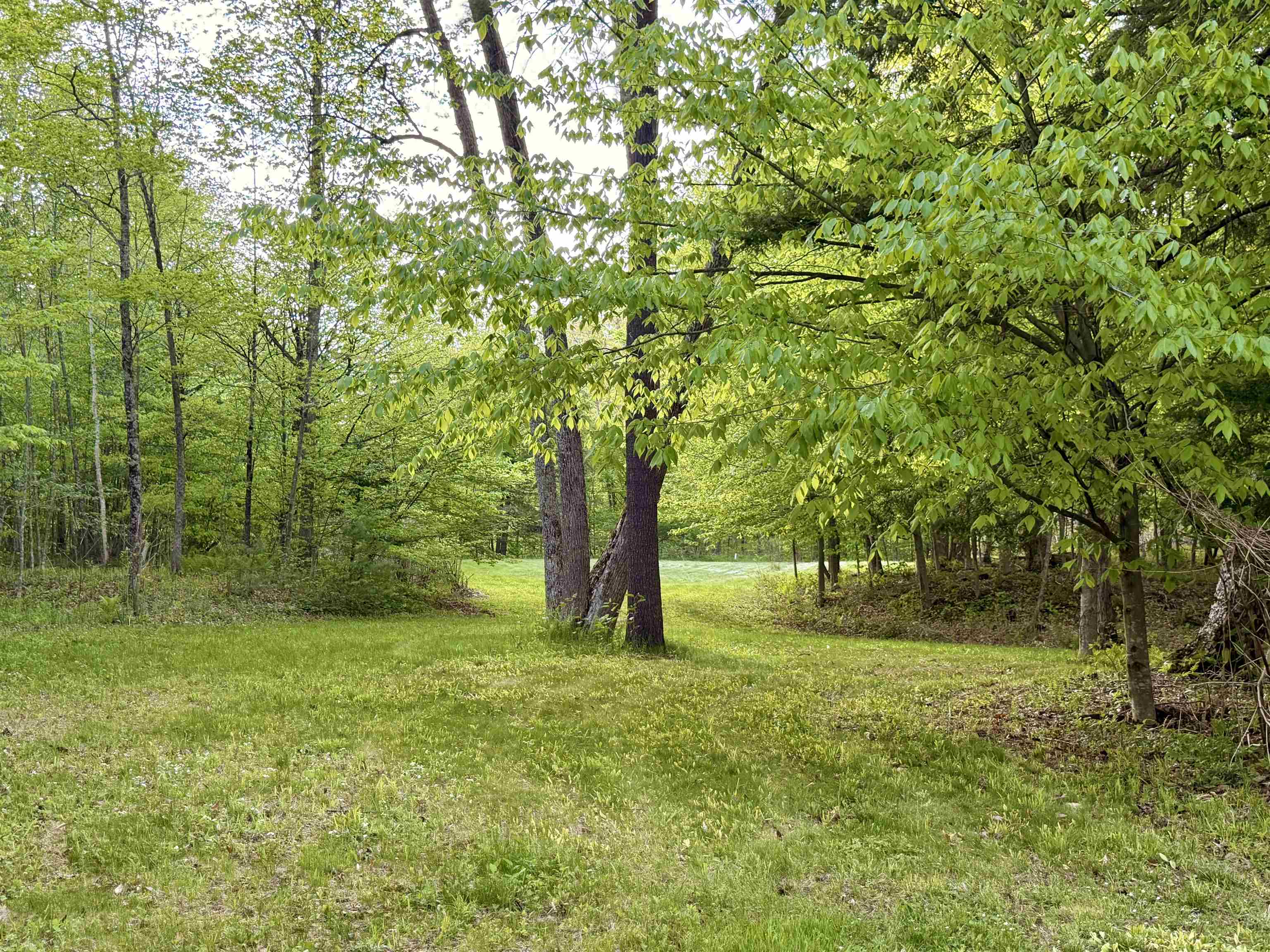 250 Fenton Road Chester, VT 05143 - Photo 17 of 29