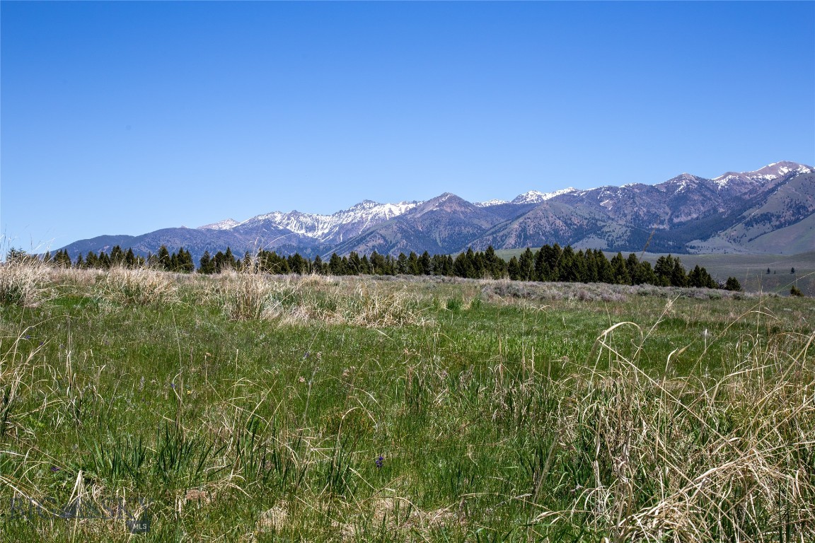 Lot 38 Sun West Ranch Cameron, MT 59720 - Photo 11 of 49 Gallery Image 11